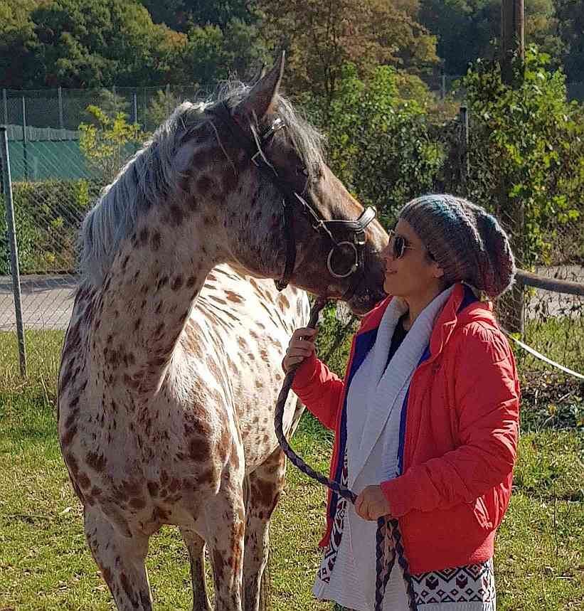 Tierheilpraktiker für Pferde